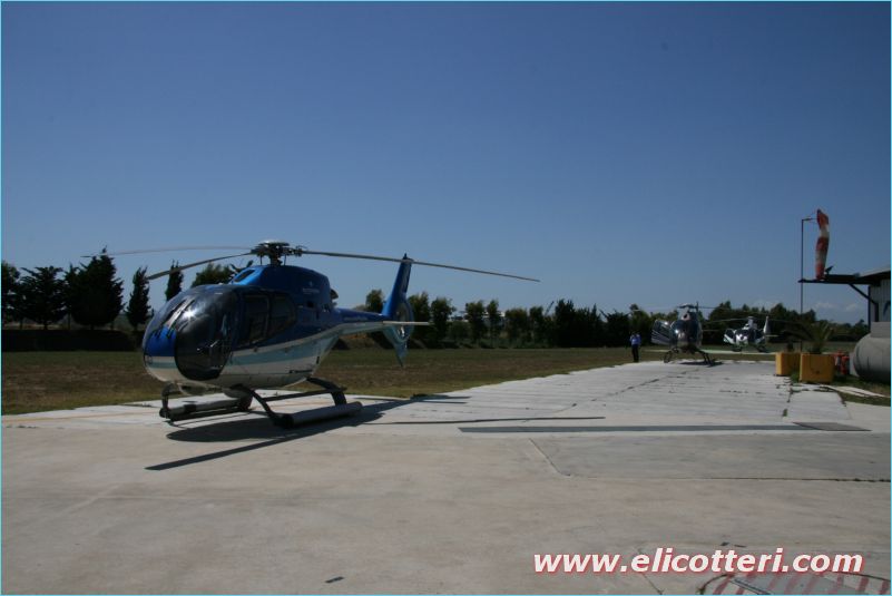 elifoto (212)